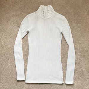 Aritzia | Wilfred Buswell Turtleneck Long Sleeve